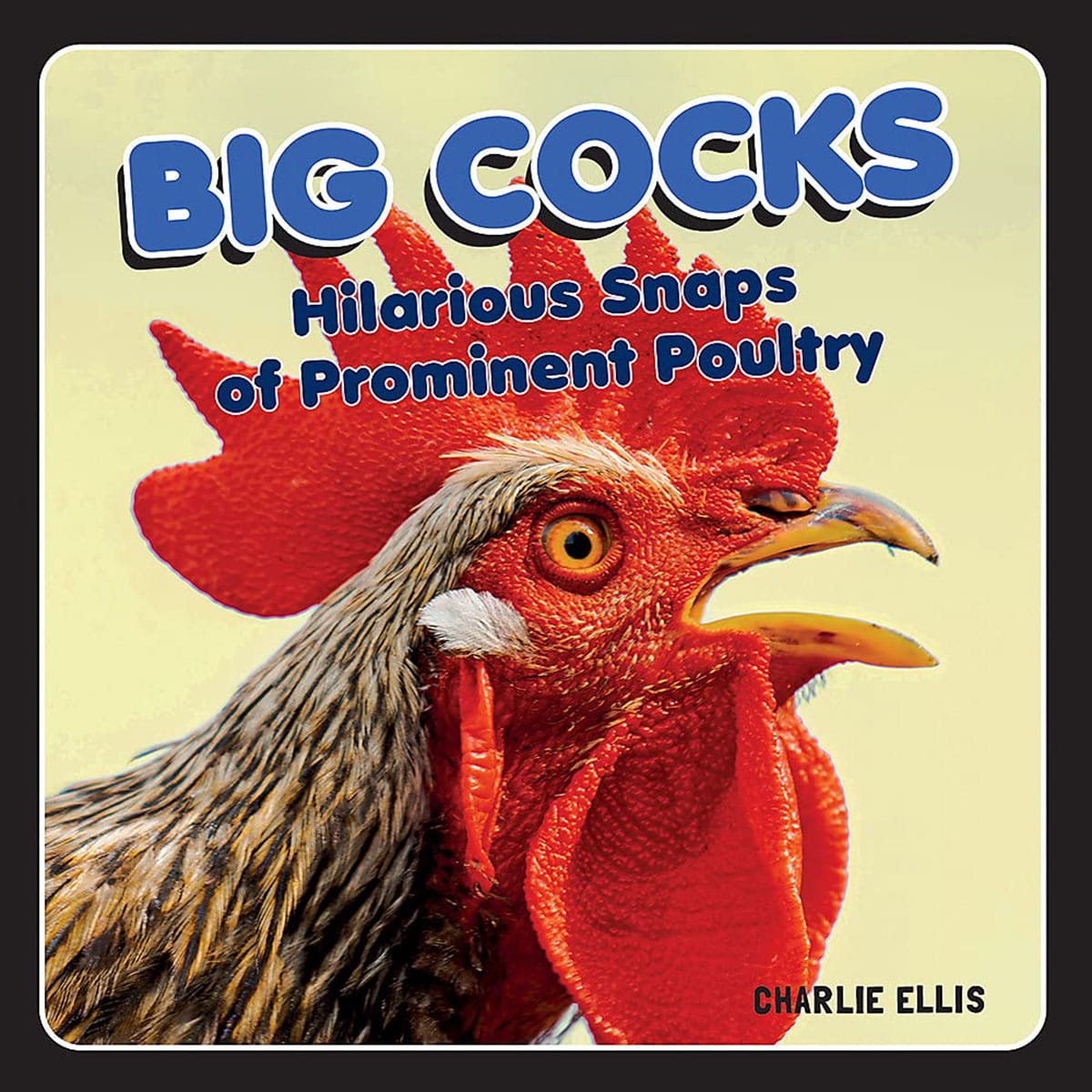 Buy Hilarious Snaps of Prominent Poultry Big Cocks book for her.